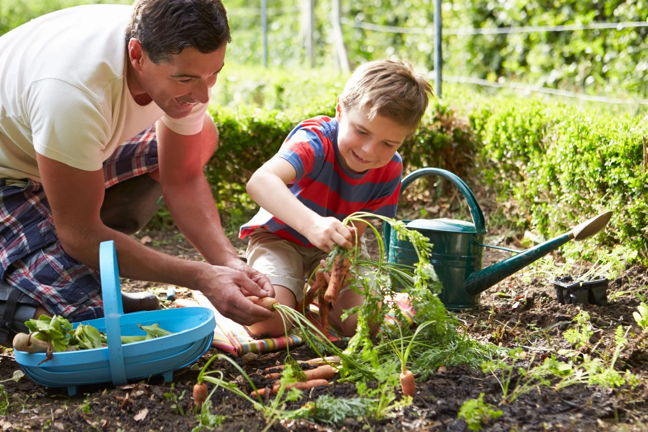 How to Get Started with Home Gardening