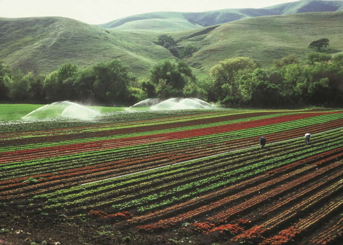 The Promising Future for Sustainable Agriculture